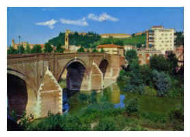 il savio.jpg (23993 byte)