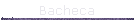 Bacheca