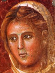 Volto di Rebecca (part. di Isacco respinge Esaù, Giotto, Assisi, Basilica superiore, 1290)