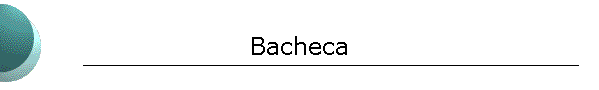 Bacheca