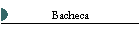 Bacheca