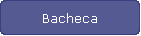 Bacheca