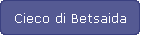 Cieco di Betsaida