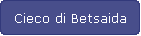 Cieco di Betsaida