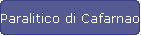 Paralitico di Cafarnao