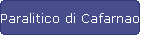 Paralitico di Cafarnao
