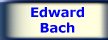 Le essenze floreali del dr. Bach