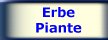 Piante