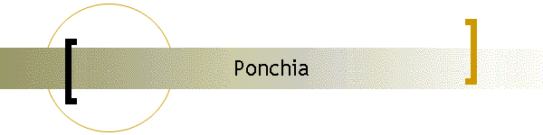 Ponchia