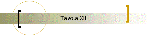 Tavola XII