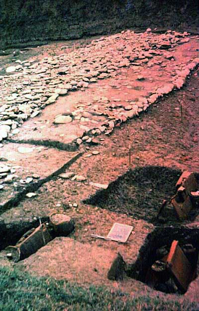 Sarsina, la necropoli di Pian di Bezzo e la via del Savio - SAER