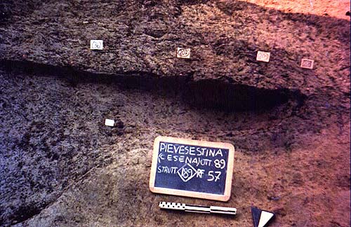 Pievesestina, mercato ortofrutticolo. Insediamento della I età del Ferro; prtc. stratigrafico (Scavo 1989 - SAER)