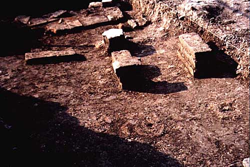 Pievesestina, via A. Kuliscioff, villa rustica romana: sottofondo pavimentale con suspensurae - SAER