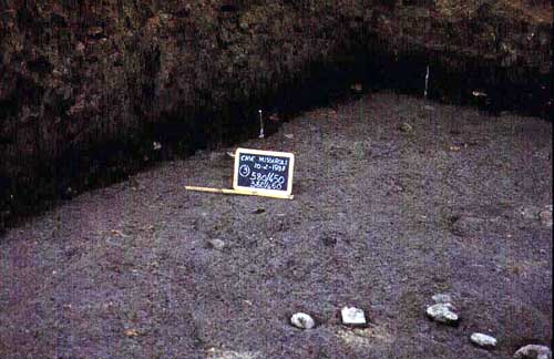 Particolare stratigrafia scavo 1987 - SAER
