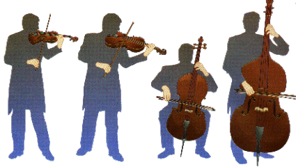 VIOLINO, VIOLA, VIOLONCELLO, CONTRABBASSO.