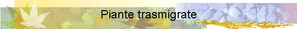 Piante trasmigrate