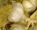 Aglio