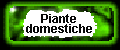 Piante domestiche antinquinanti