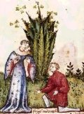 Mandragola