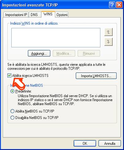 Abilita ricerca LMHOST