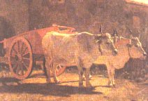 Abbati:"Buoi al carro"