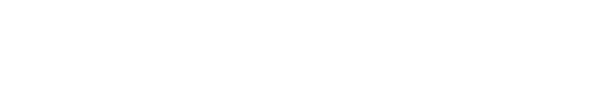 I Teutonici 1