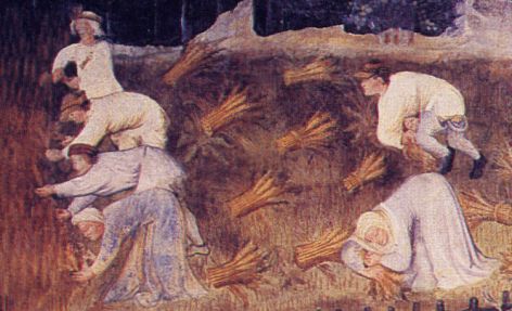 Falciare il grano a luglio (Torre dell'Aquila a Trento)